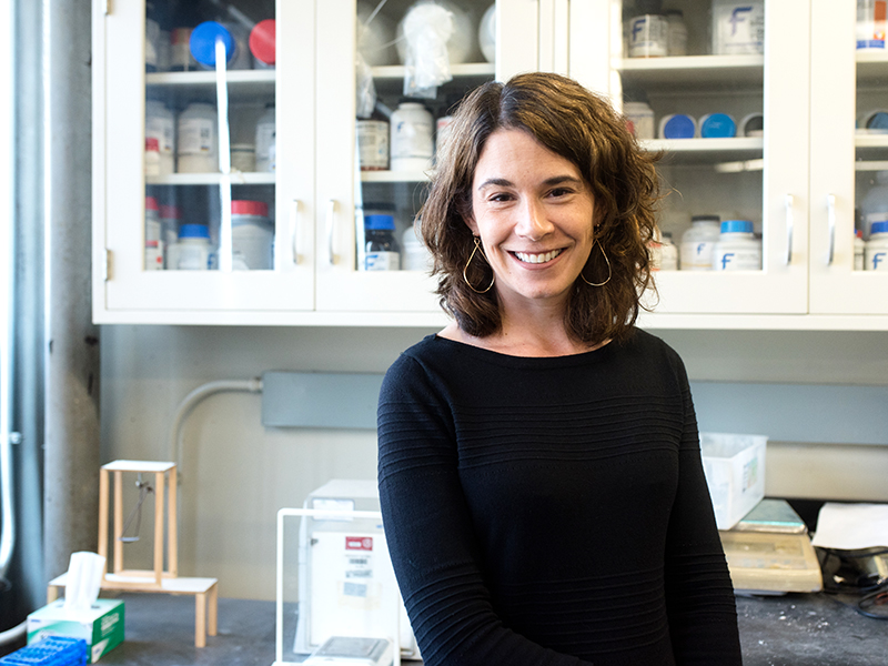 Texas engineering professor Maria Juenger