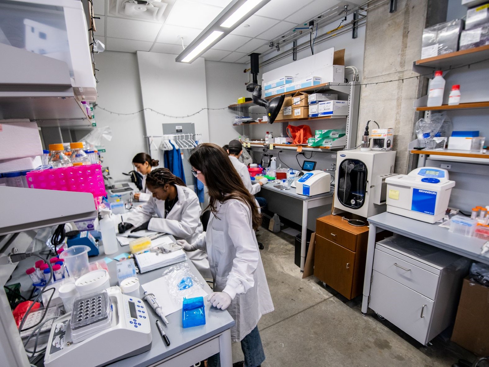 chemical engineering brian belardi lab