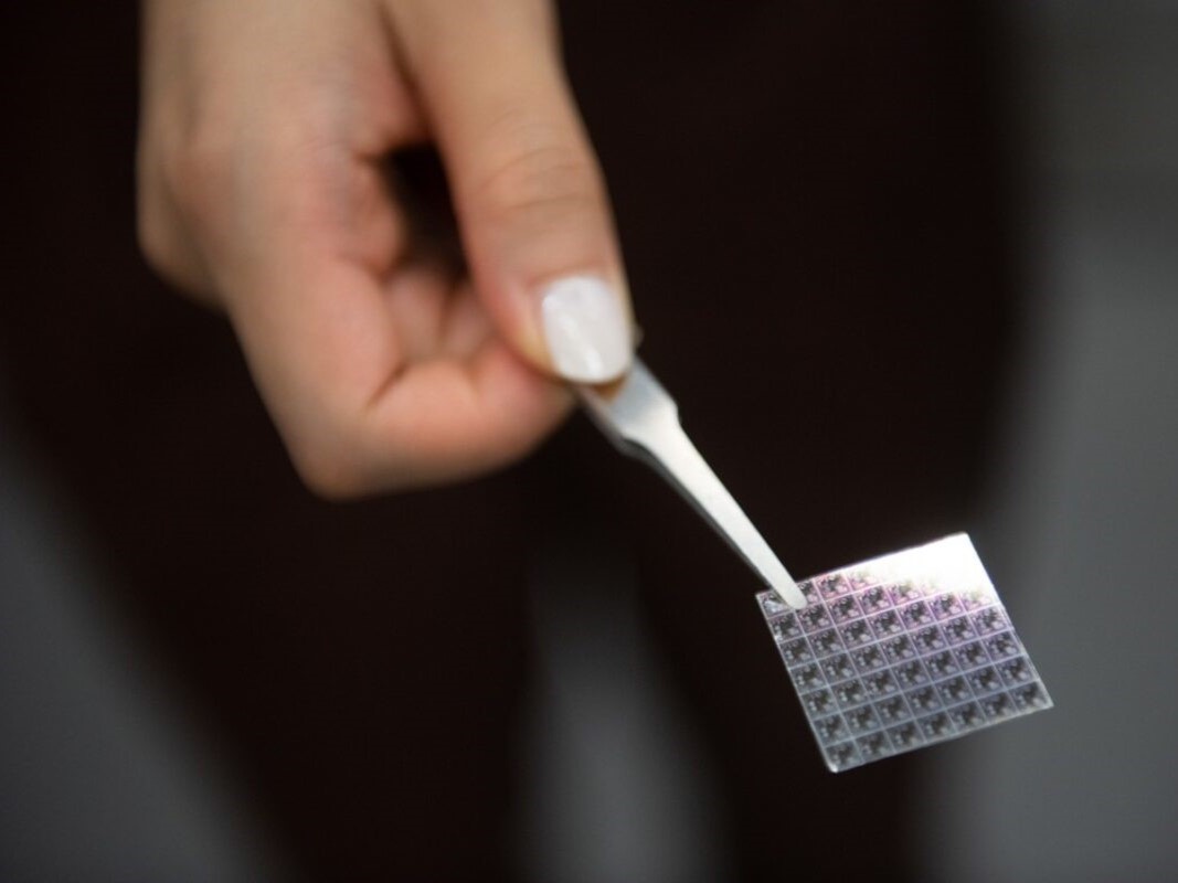 Texas engineer holding a semiconductor chip with a pair of tweezers