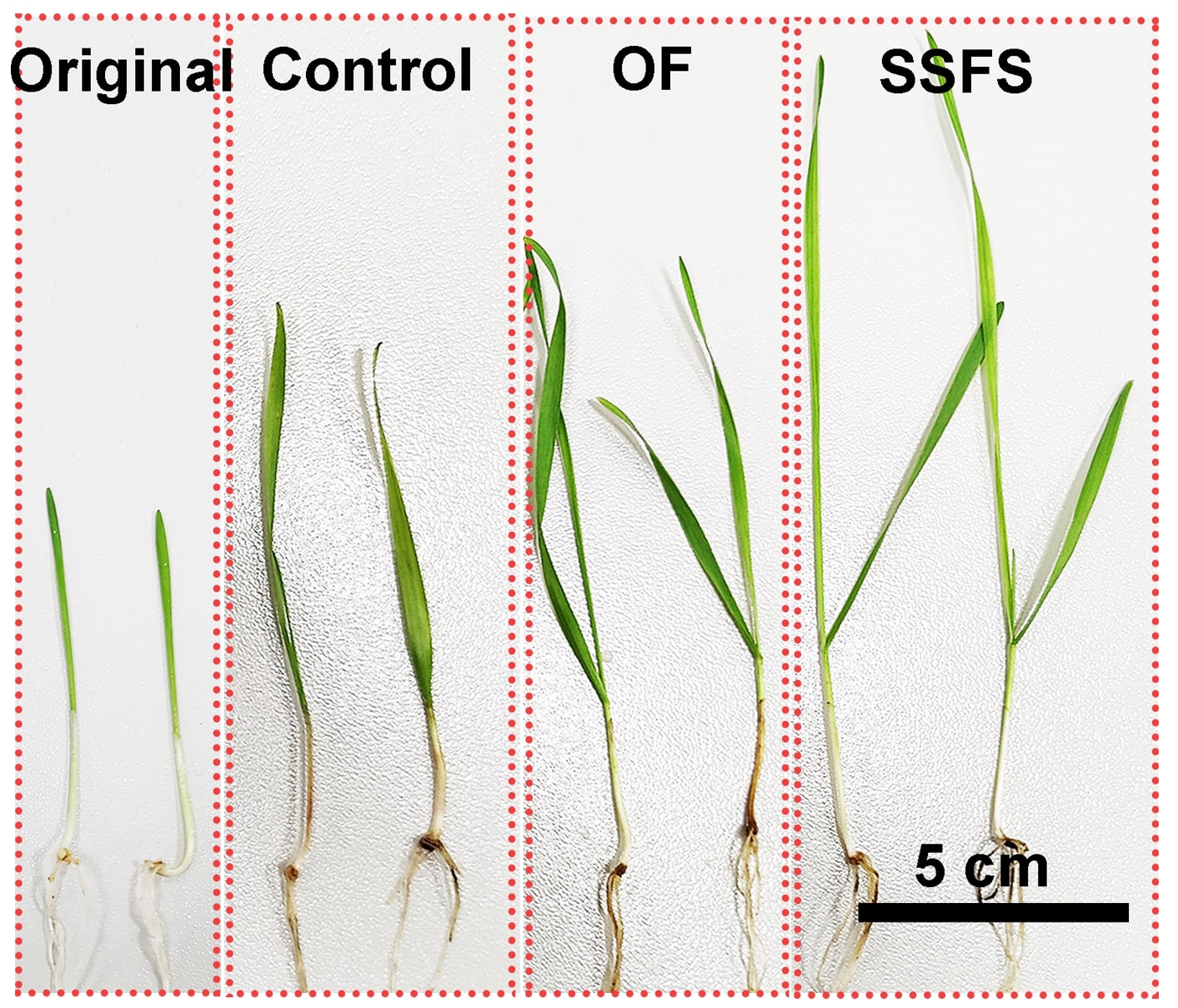 Smart farming system crop yield comparing four crop specimens