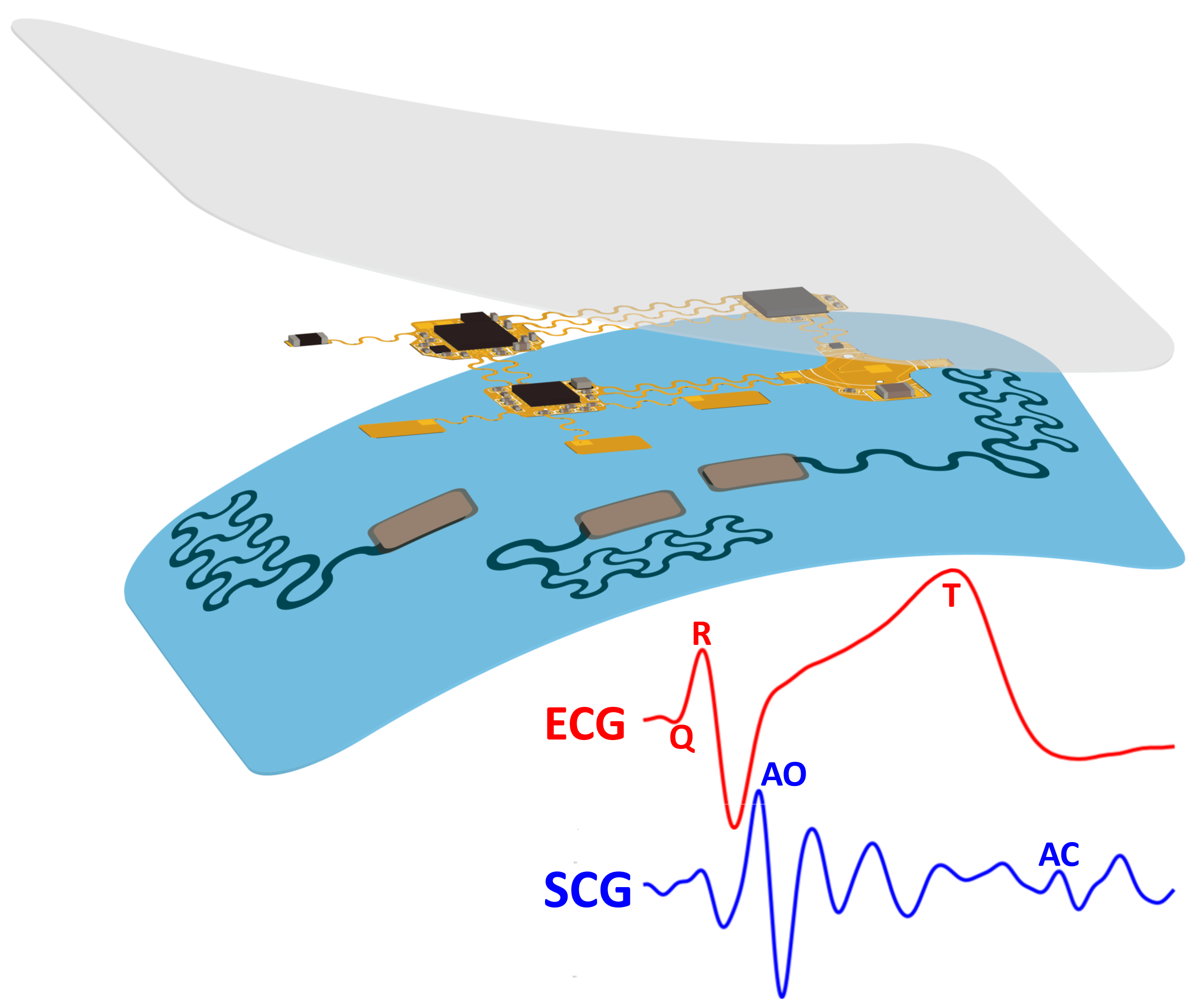 diagram of chest e-tattoo's structure