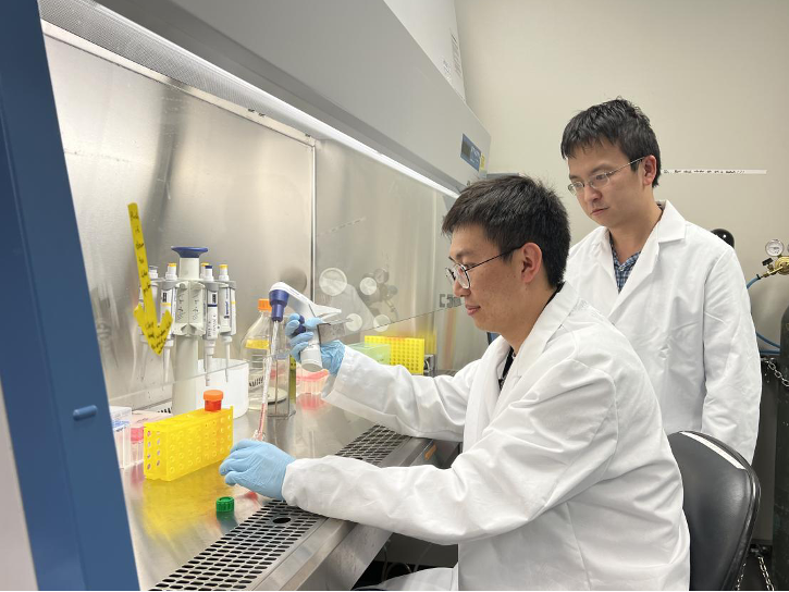 Texas Engineers Huiliang "Evan" Wang and Wenliang Wang in a biomedical engineering lab.