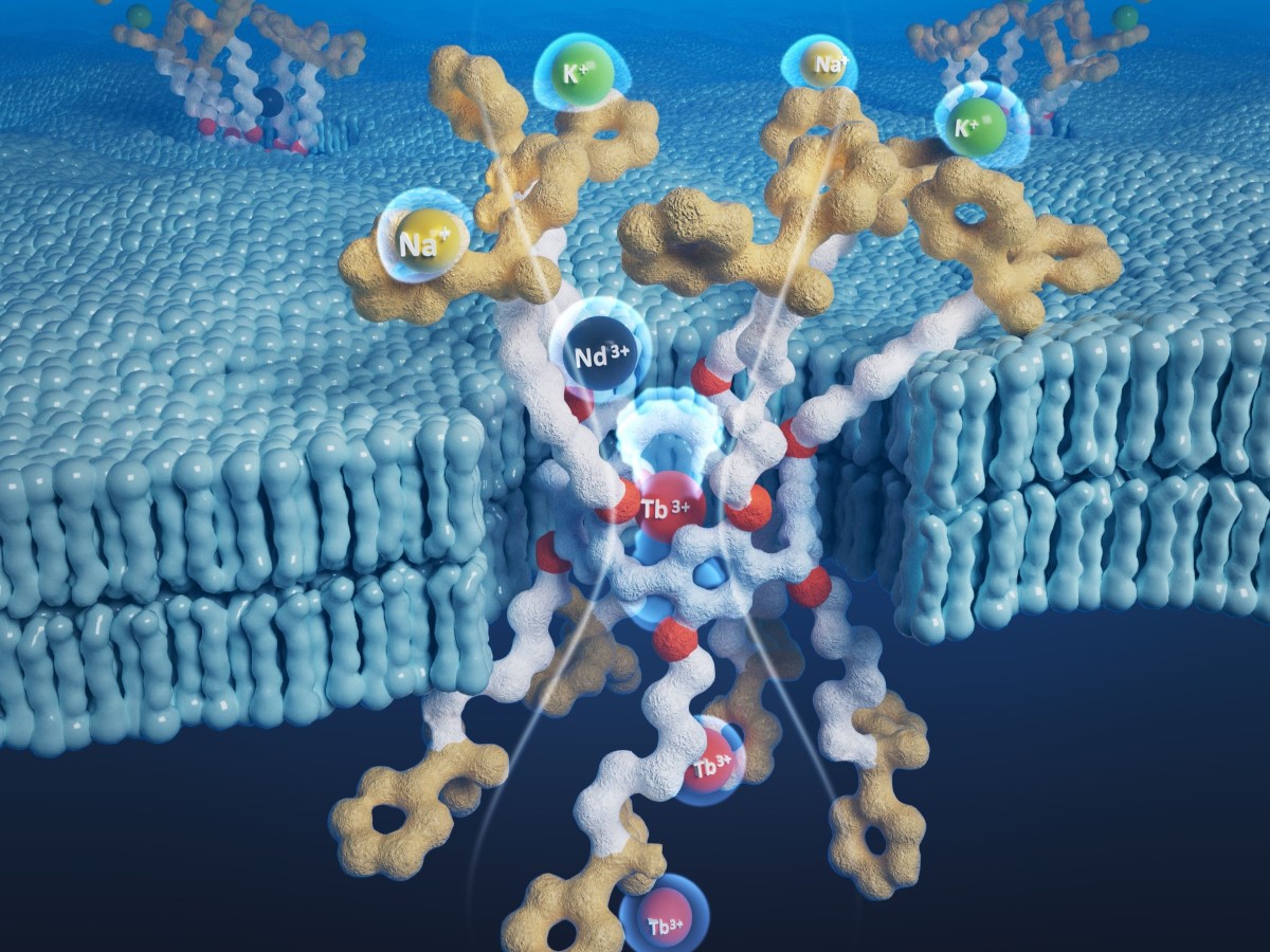 An illustration of the nano channels Texas Engineers developed for rare earth element extraction