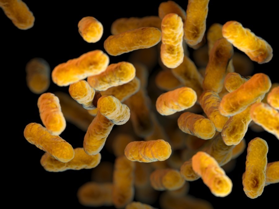 Whooping cough, or pertussis cells under a microscope