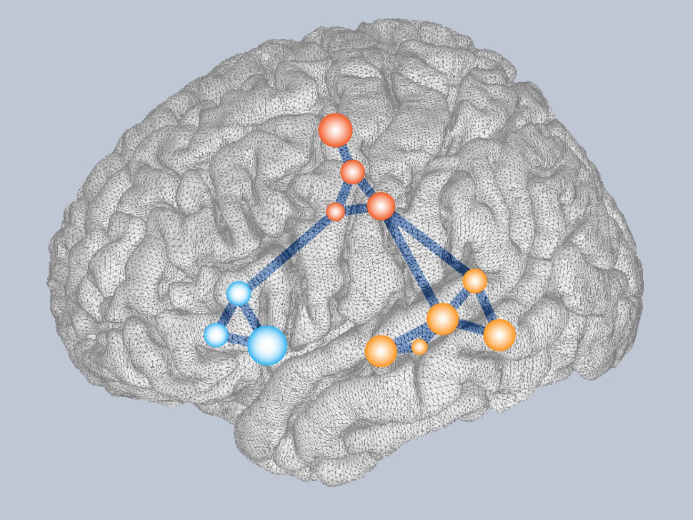brain illustration
