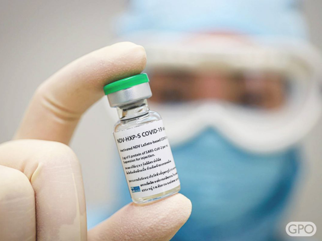 researcher holding a sample of NDV-HXP-S in a gloved hand
