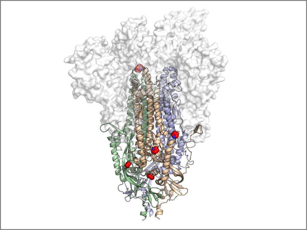 3D map of hexapro structure
