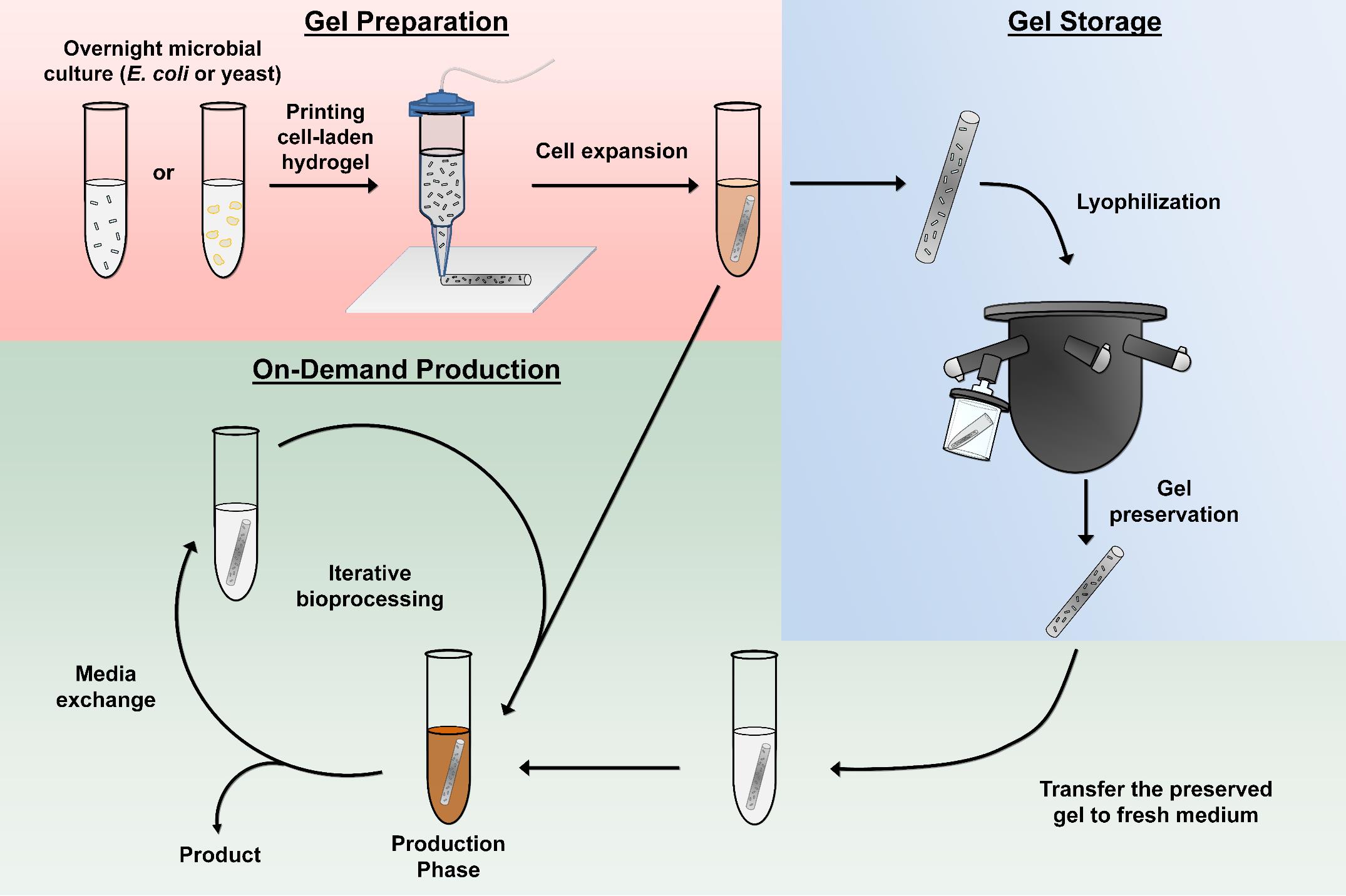 hydrogel infographic