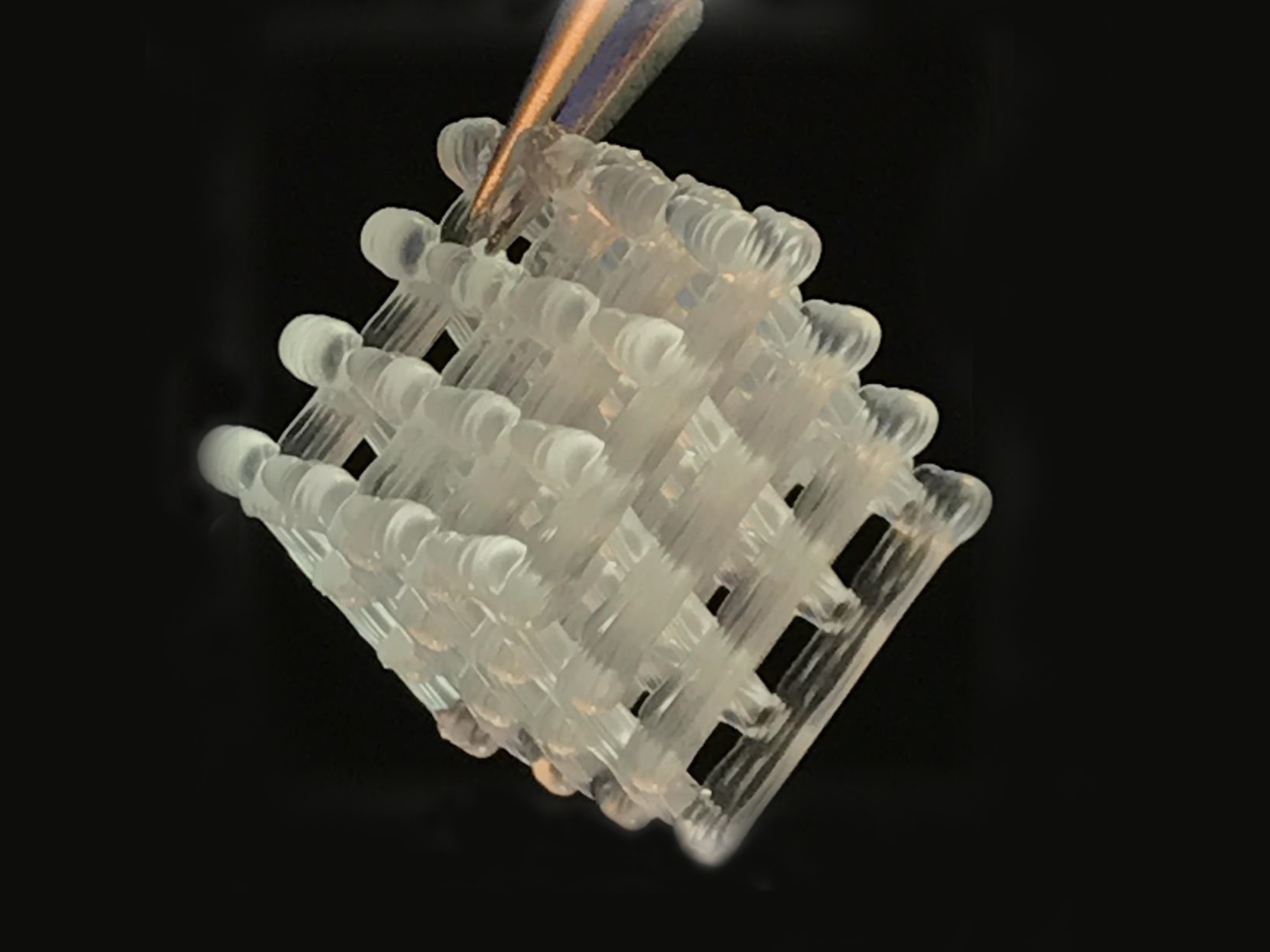 hydrogel lattice