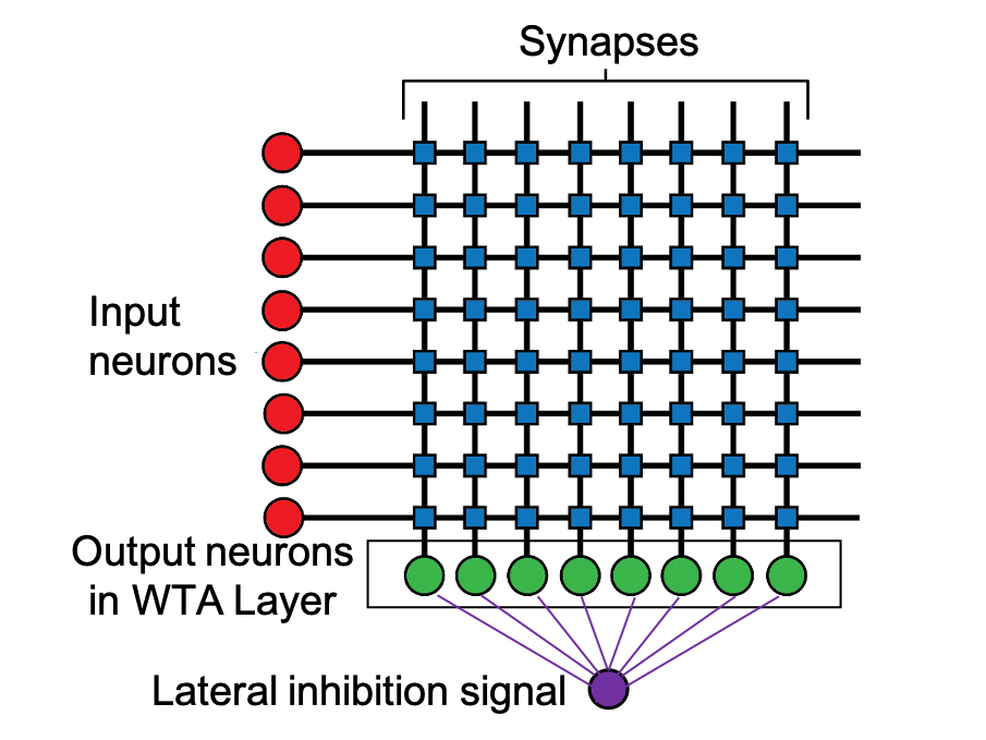 lateral inhibition magnetic processing