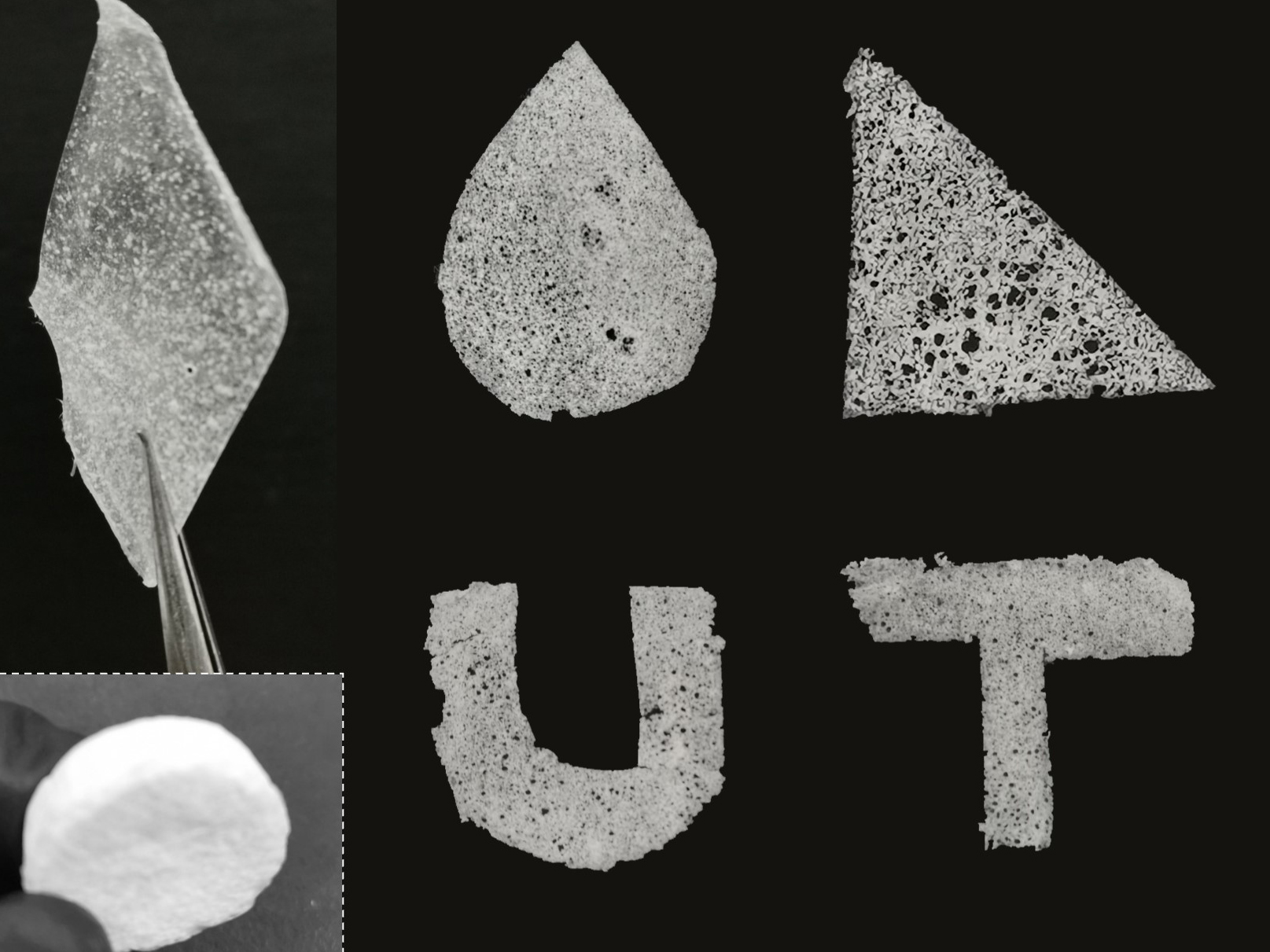 moisture harvester prototypes cut into different shapes