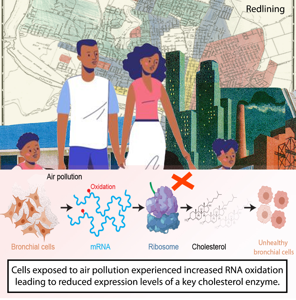 pollution oxidation graphic