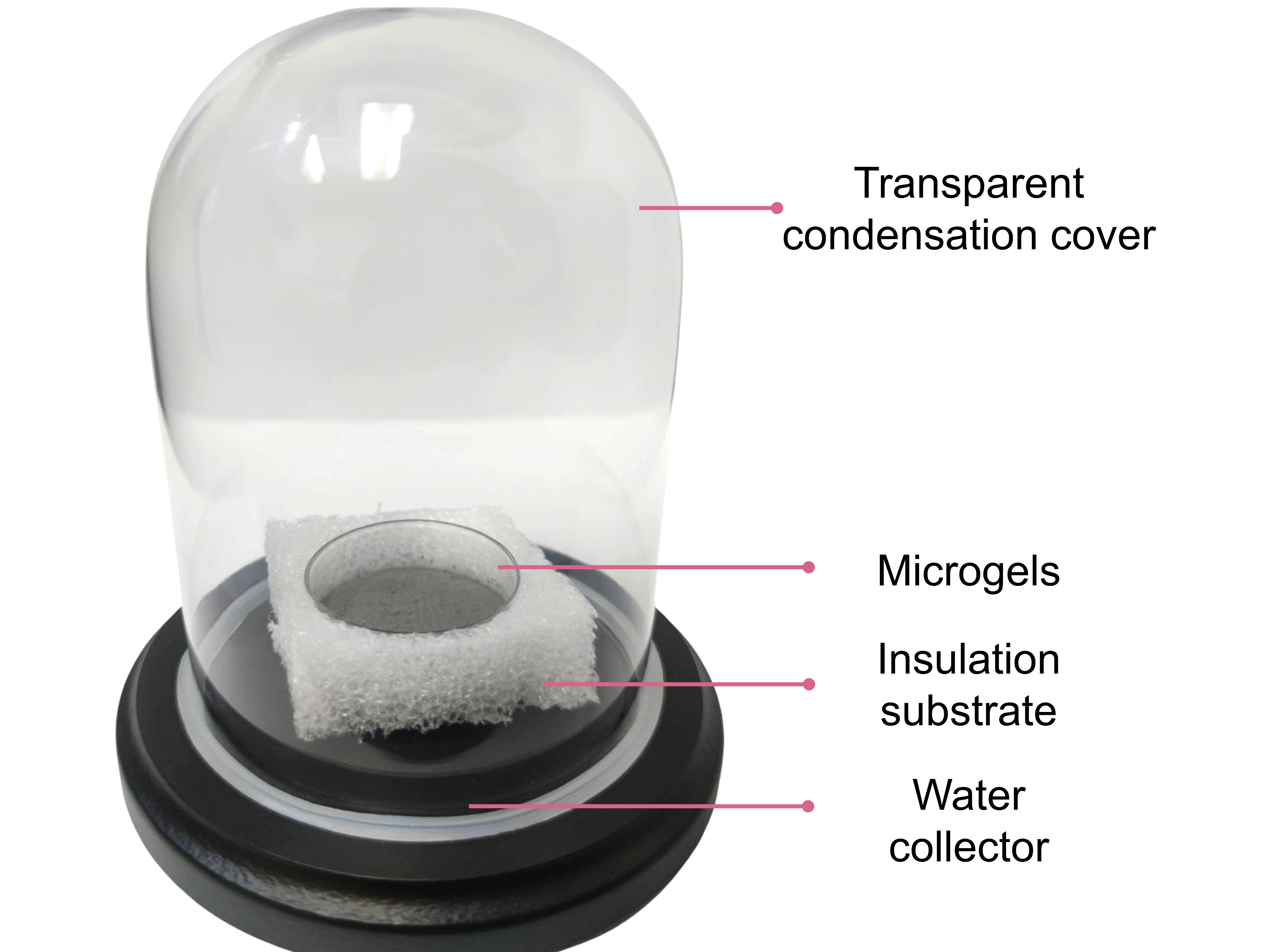 model of Guihua Yu's research prototype