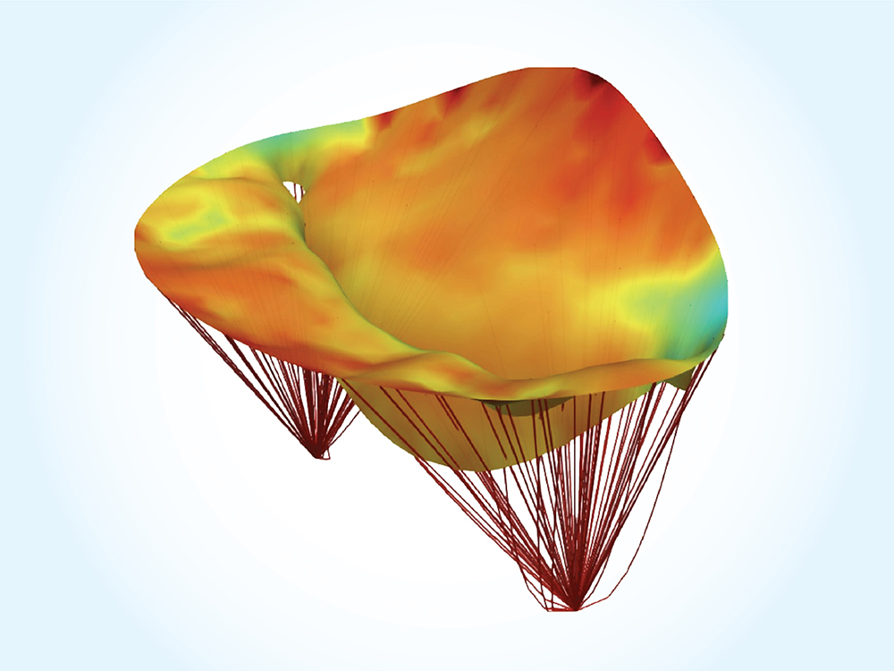 mitral valve research simulation