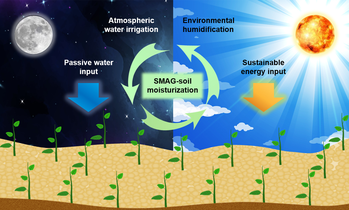 self watering soil infographic