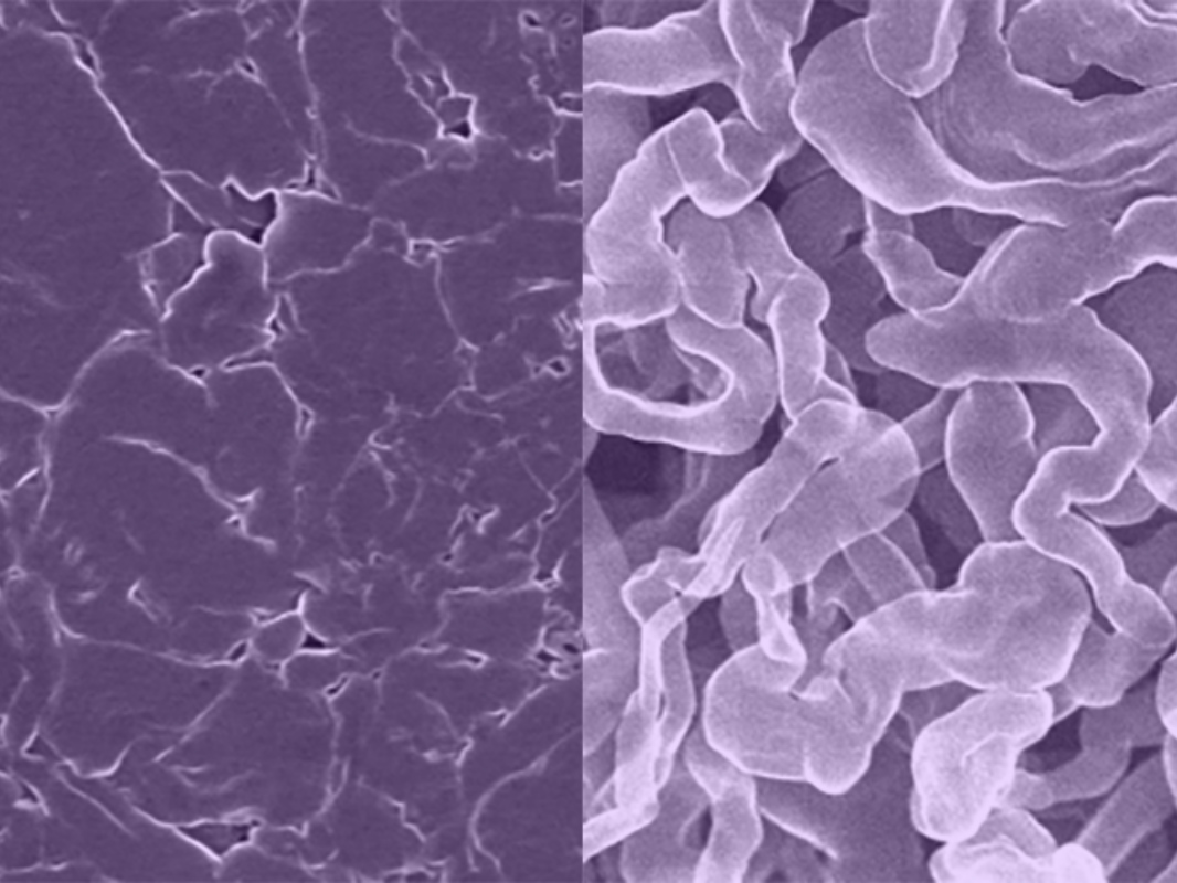 Comparison of sodium batteries