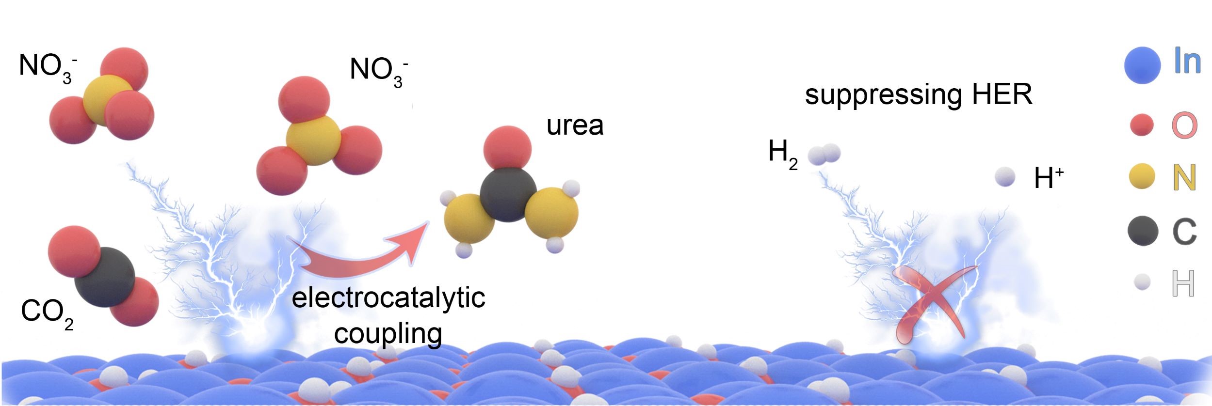 diagram of CO2 and nitrate molecules